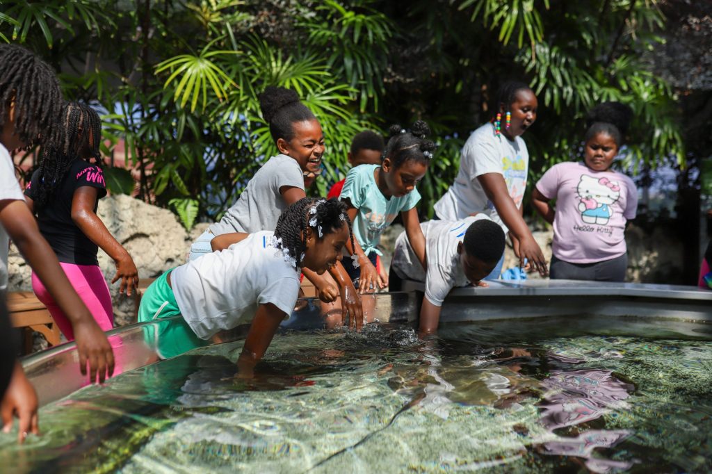 Aquarium-10 copy smiling students petting stingray at Chattanooga aquarium