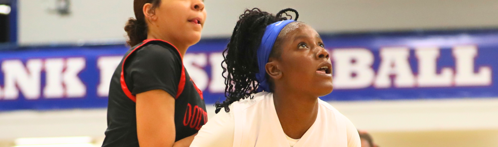 Q&A with Journey Holloway