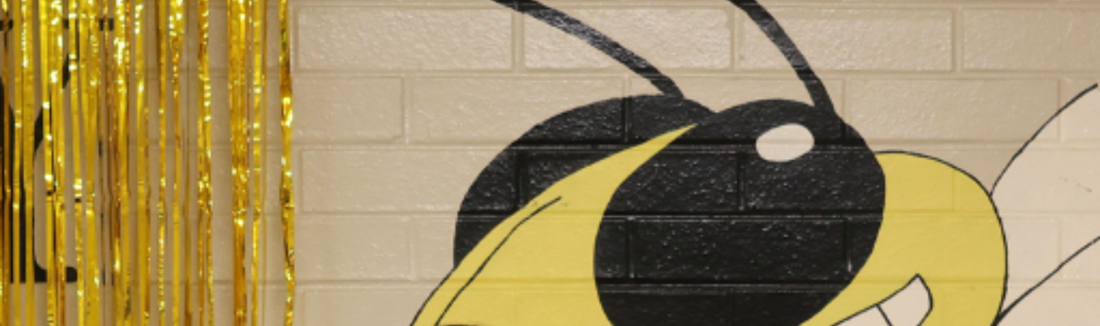 Lookout Valley Middle High wall